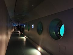 -白鹤梁水下博物馆