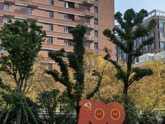 -上海交通大学医学院附属瑞金医院(总院)