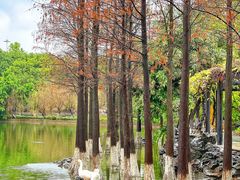 -东莞市可园博物馆