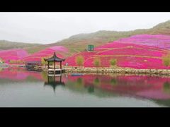 -威海华夏城景区