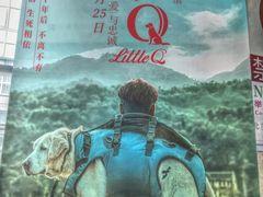 -天幕新彩云国际影城(激光巨幕店)