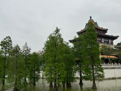 -顺峰山公园