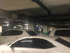 -枫蓝国际购物中心-地面停车场