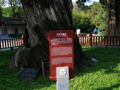 -黄帝陵