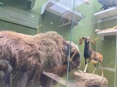 -国家自然博物馆