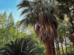 -苏州河梦清园环保主题公园