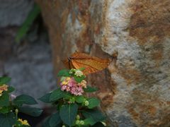 -上海动物园(地铁站)