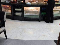 -虹桥机场国航贵宾室v8