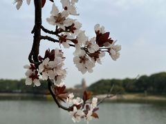 -美兰湖景区