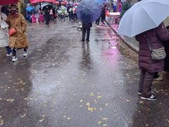 -东仓门早市