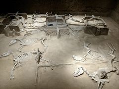 -洛阳周王城天子驾六博物馆