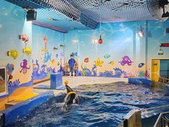 -太平洋海底世界