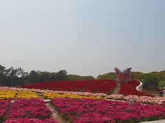 -上海鲜花港