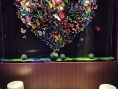 -纯K(打浦桥店)