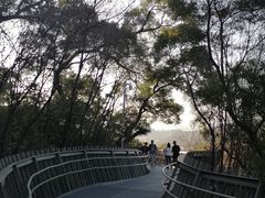 -福道