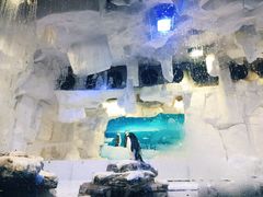 -华夏文旅海洋公园