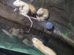 -泉城欧乐堡梦幻世界