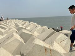 -天津妈祖文化园