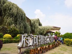 -府河摄影公园