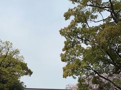 -名古屋城