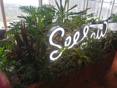 -Seesaw Coffee(朝阳大悦城店)