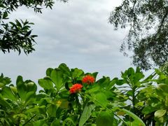 -巴拉湾海滩