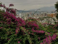 -仙岳公园