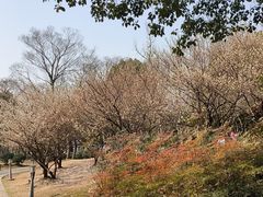 -石湖景区