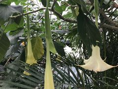 -北京植物园-展览温室