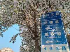 -天津五大道文化旅游区