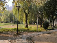 -堤角公园