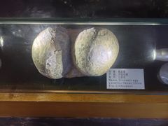 -本溪水洞