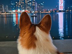 -天鹅湖体育公园