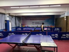 -大凤凰乒乓球馆