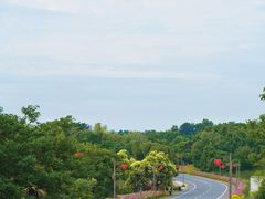 -杏花村文化旅游区