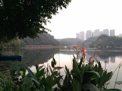 -重庆彩云湖湿地公园