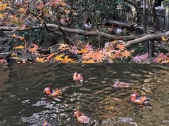 -杭州动物园