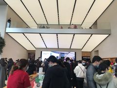 -Apple零售店(苏州店)