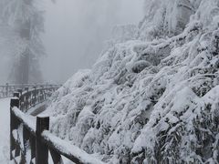 -瓦屋山景区