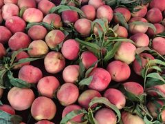 -大连双兴商品城