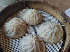 鲜肉汤包-东园小馆·早茶·淮扬小炒(宋夹城店)