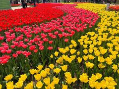 -石家庄市植物园