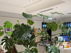 -一尺花园(安和花园店)