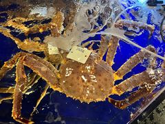 -蟹道乐(道顿堀本店)