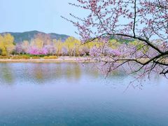 -国家植物园