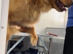 -宠福鑫康馨动物医院·骨科·眼科