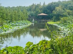 -同里国家湿地公园