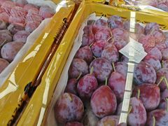 -东方鼎信农副产品交易中心