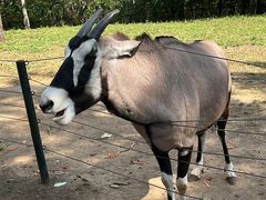 -大连森林动物园