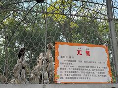 -银川动物园
